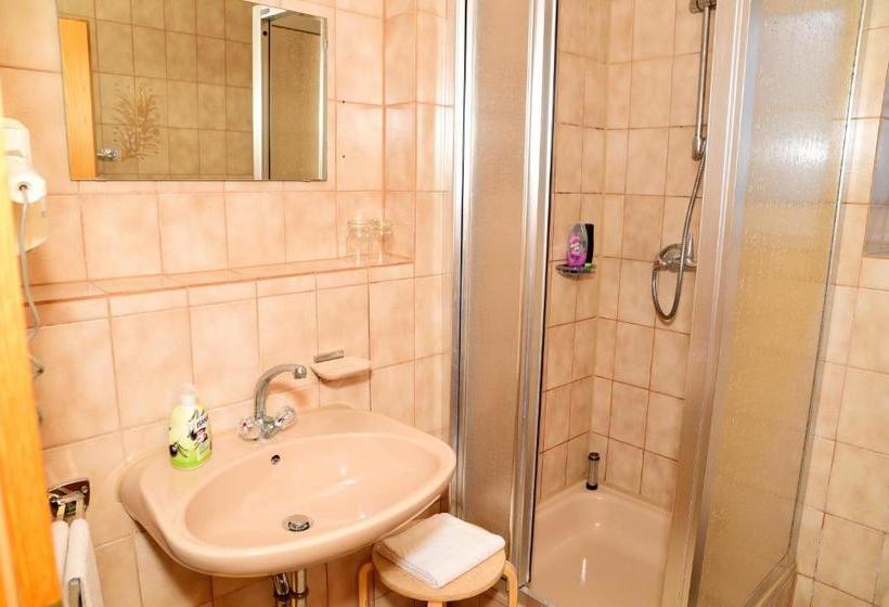 פנסיון Gasthof Und Hotel Zum Hirsch