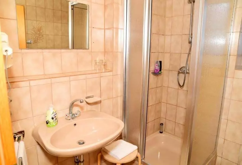 Пансион Gasthof Und Hotel Zum Hirsch