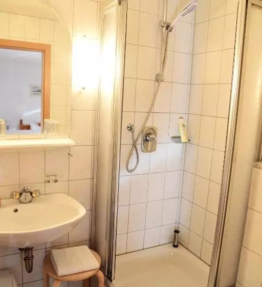 Пансион Gasthof Und Hotel Zum Hirsch