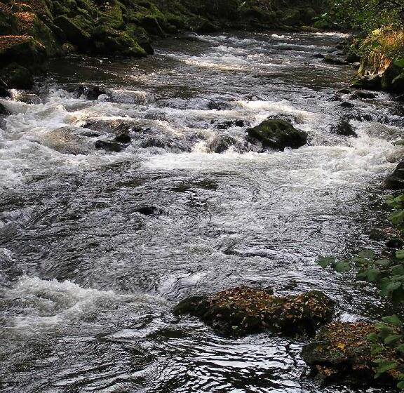 Pensão Euler Neuschönau Landgasthof