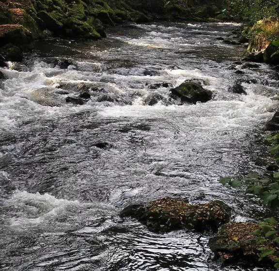 Panzió Euler Neuschönau Landgasthof