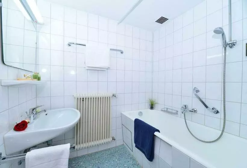 פנסיון Familienhotel Löwen