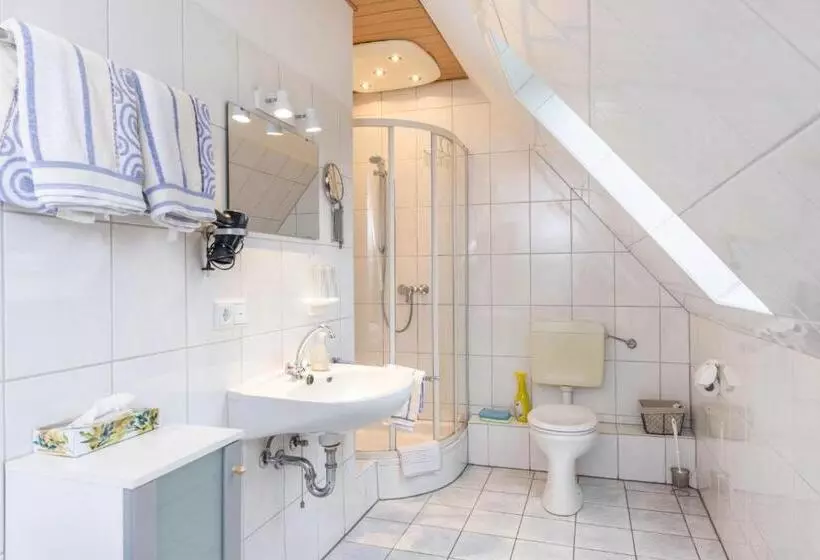 Pension Wittgensteiner Schweiz