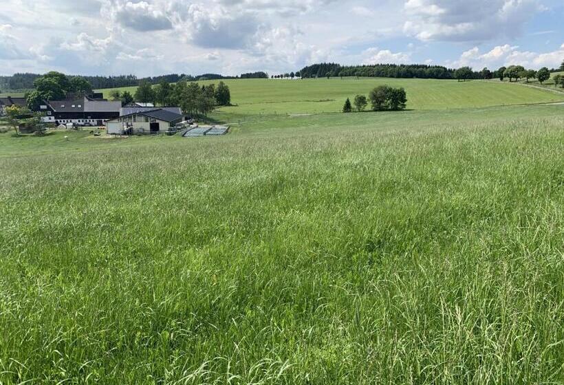 Pension Wittgensteiner Schweiz