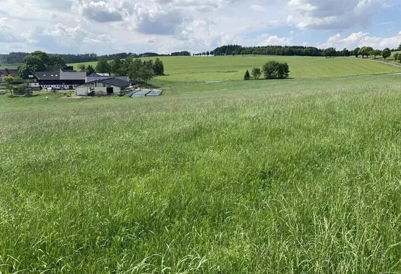 Pension Wittgensteiner Schweiz