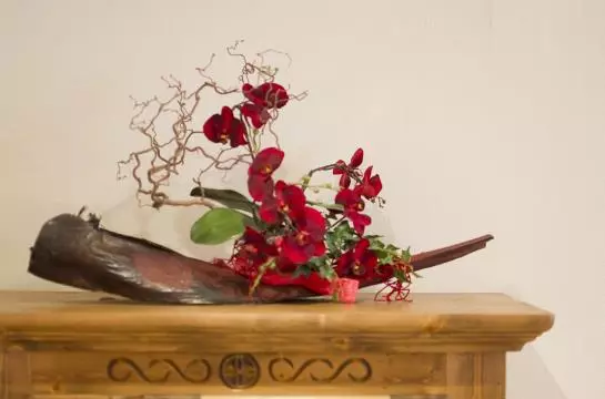 Отель Zum Goldenen Schwanen