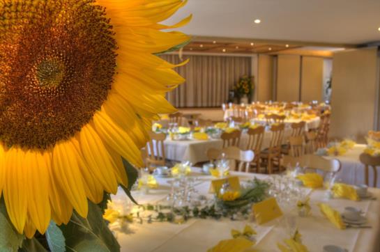 فندق Zum Goldenen Schwanen