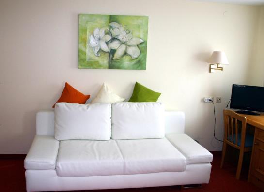 فندق Zum Goldenen Schwanen