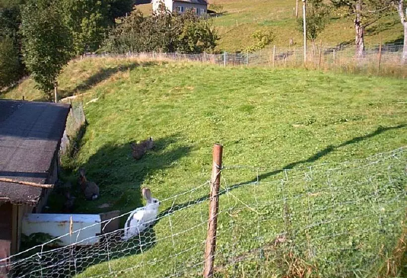 Bed and Breakfast Gasthof Erlenhof