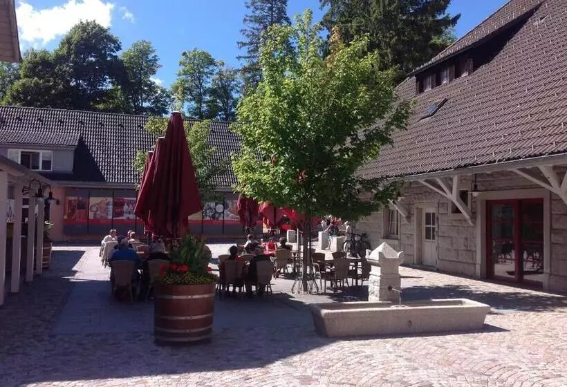 酒店 Brauereigasthof Rothaus