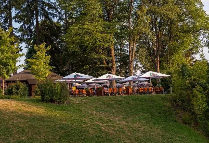 酒店 Brauereigasthof Rothaus