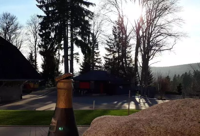 酒店 Brauereigasthof Rothaus