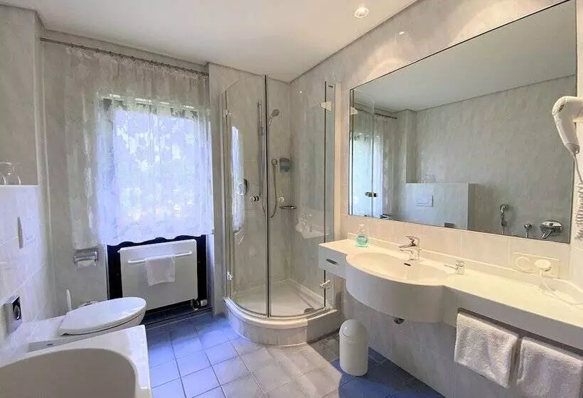 Regiohotel Wittekind Burg