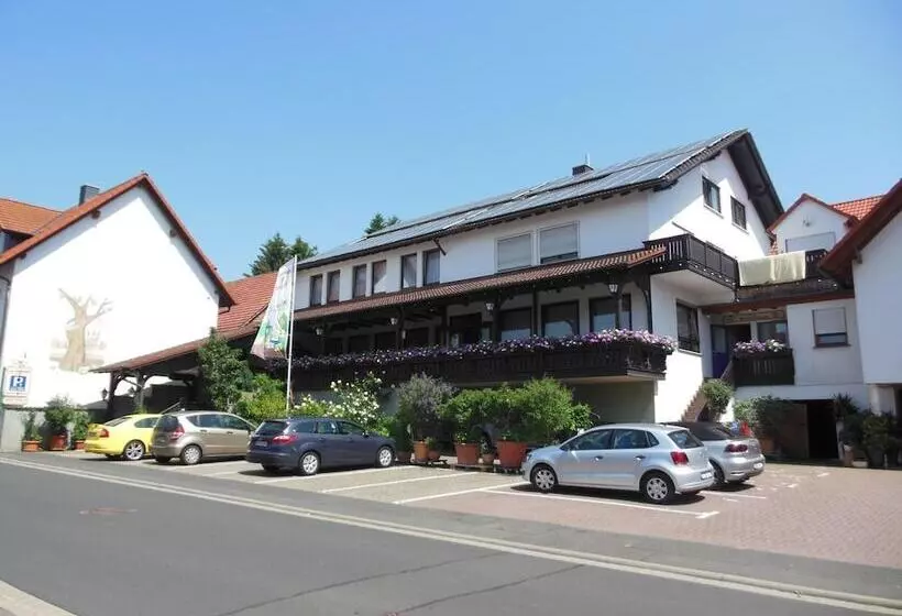 Отель & Restaurant Zum Ochsen Ox Distillery