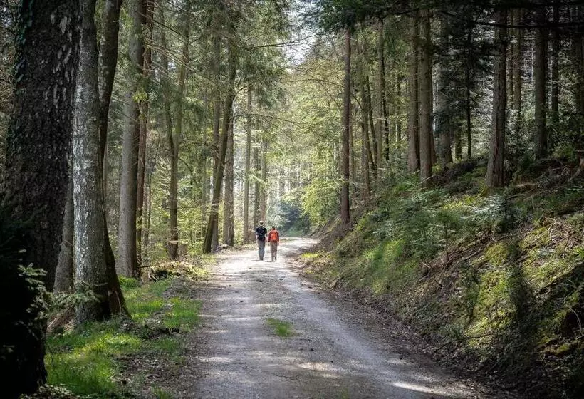Szálloda Rossle Berneck