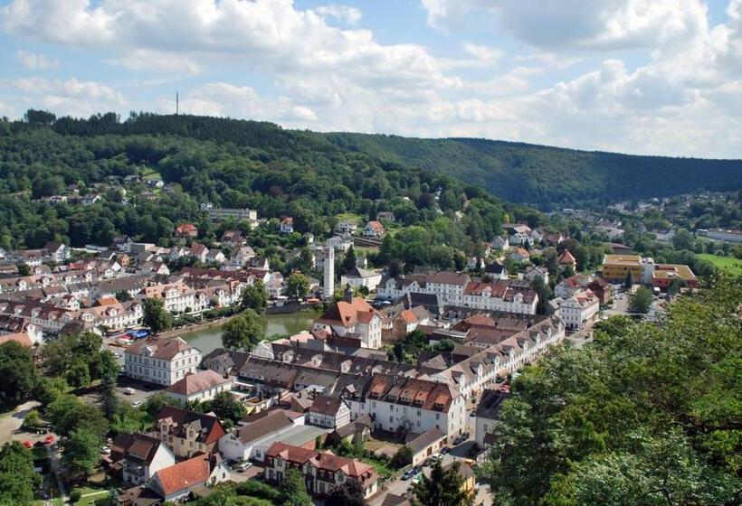 ホテル Zum Schwan