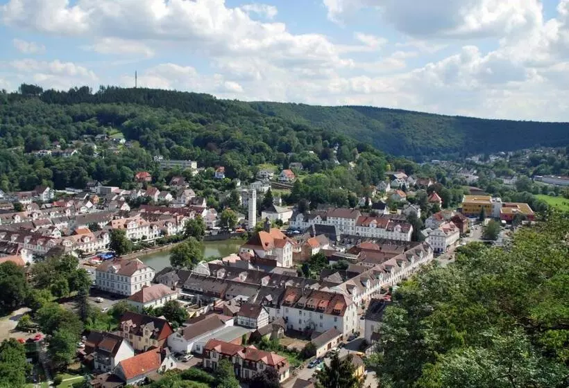 ホテル Zum Schwan