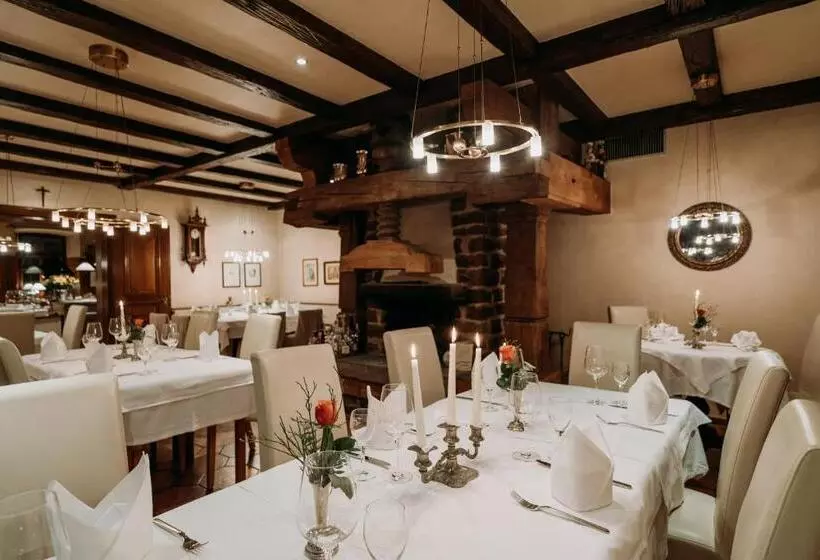 Пансион Fränkischer Gasthof Hotel Zum Koppen