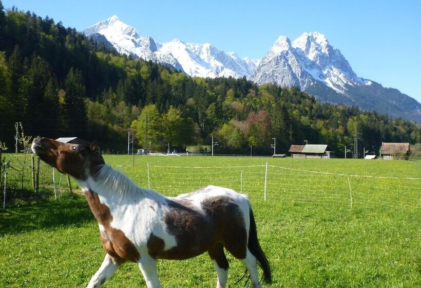 Pensão Gästehaus Hofer