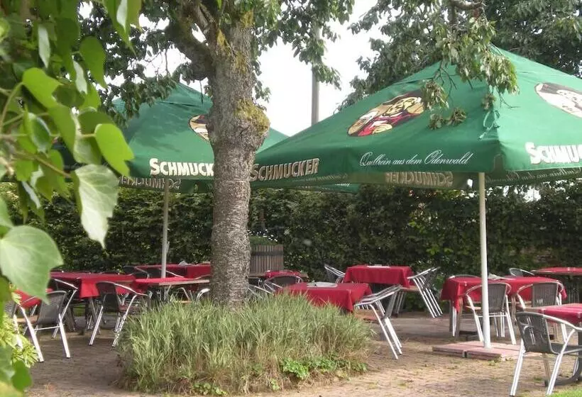 Пансион Landgasthaus Sockenbacher Hof