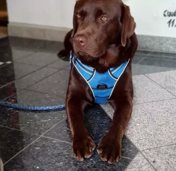 Wellness Resort Romantika