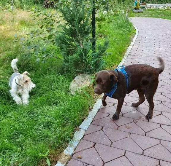 Wellness Resort Romantika