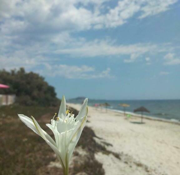 Magnifique Maison, Bien équipé