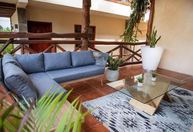 ホテル Macondo Holbox
