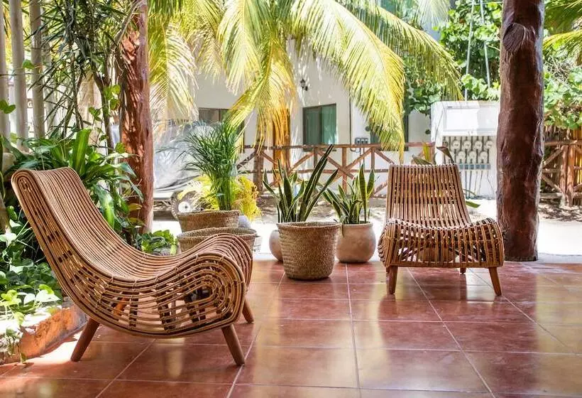 ホテル Macondo Holbox