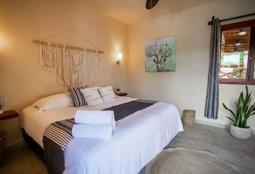 ホテル Macondo Holbox