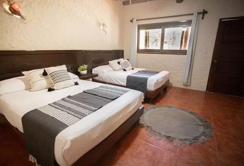 ホテル Macondo Holbox