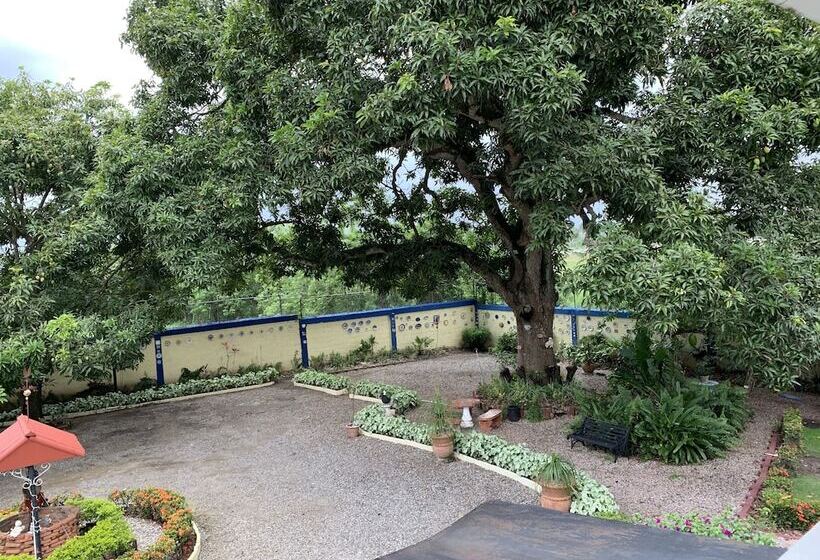 هتل Sana El Jardin Secreto