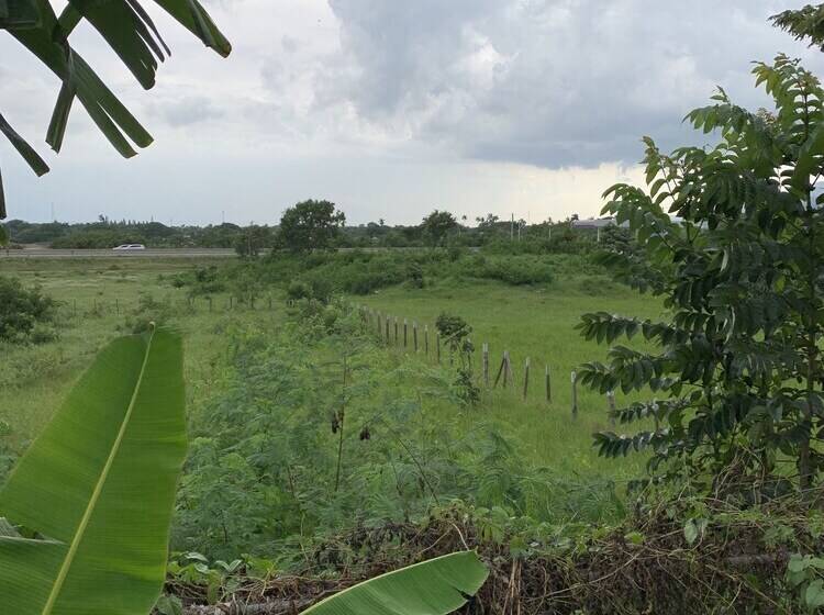 هتل Sana El Jardin Secreto