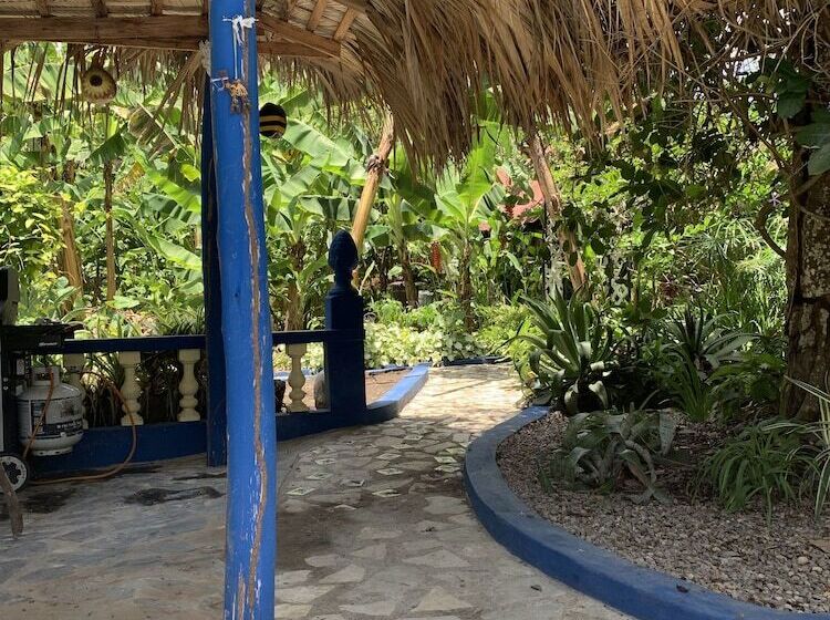 هتل Sana El Jardin Secreto