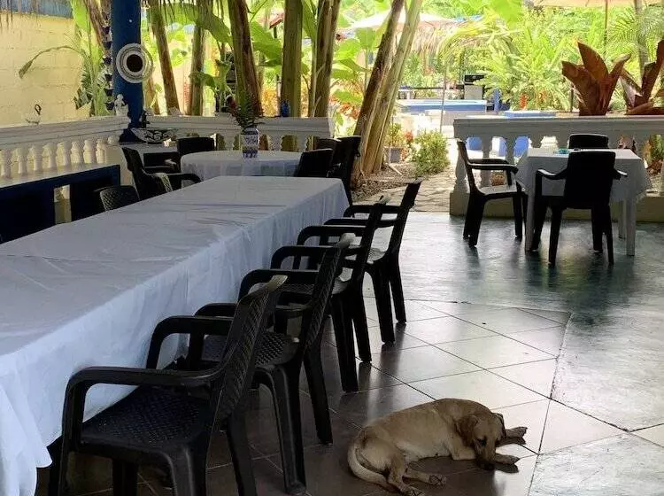 هتل Sana El Jardin Secreto