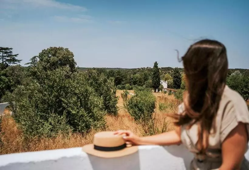 پانسیون O Conventinho