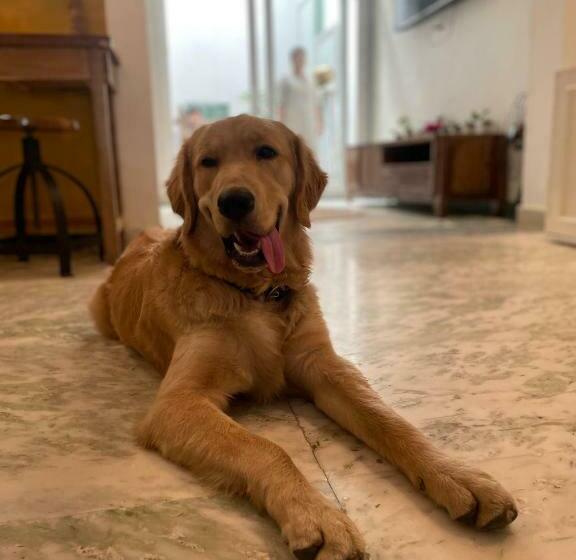 مبيت وإفطار Anandmai Sustainable Living Spaces