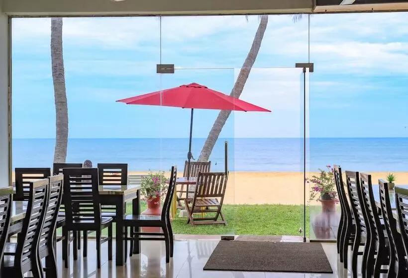 Aamiaismajoitus (B&B) New Tristar Beach