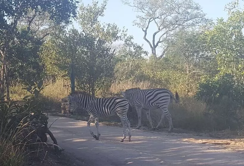 Kruger National Elephant Point Lodge