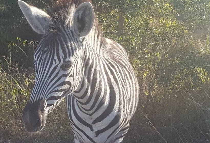 Kruger National Elephant Point Lodge