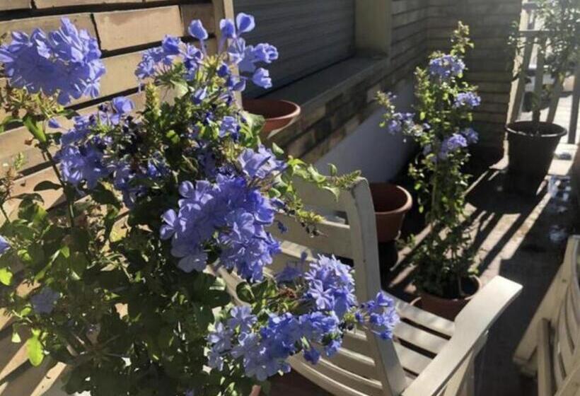 膳宿费 Camera In Via Tolstoi