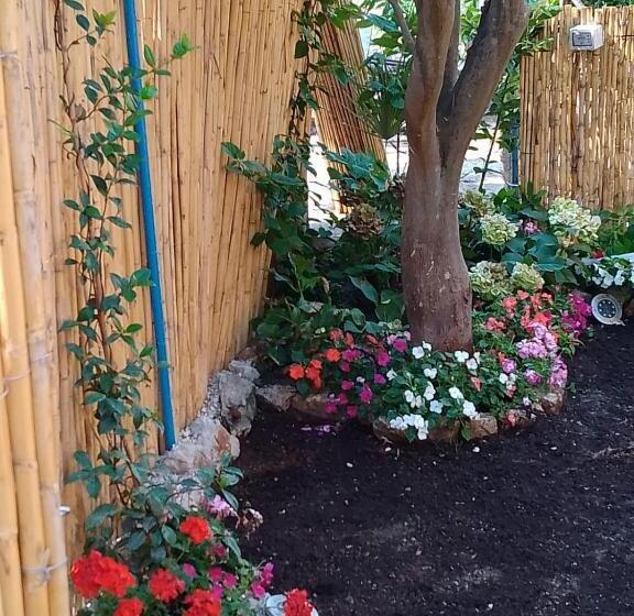 بنسيون Nuida Casa Vacanze