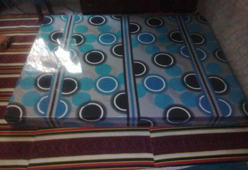 پانسیون Transit