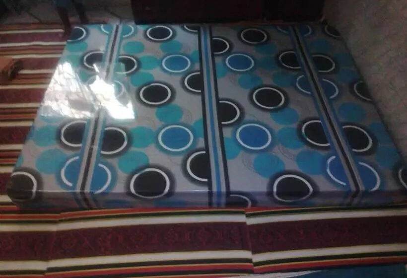 پانسیون Transit