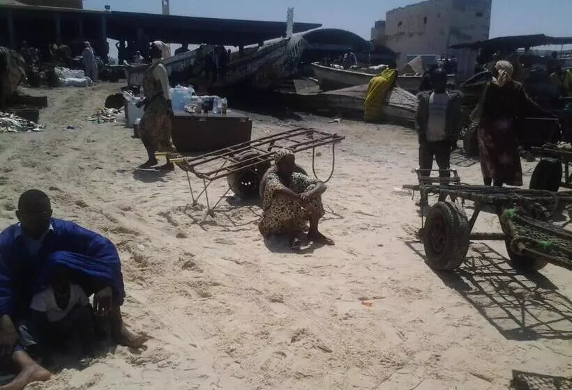 پانسیون Transit