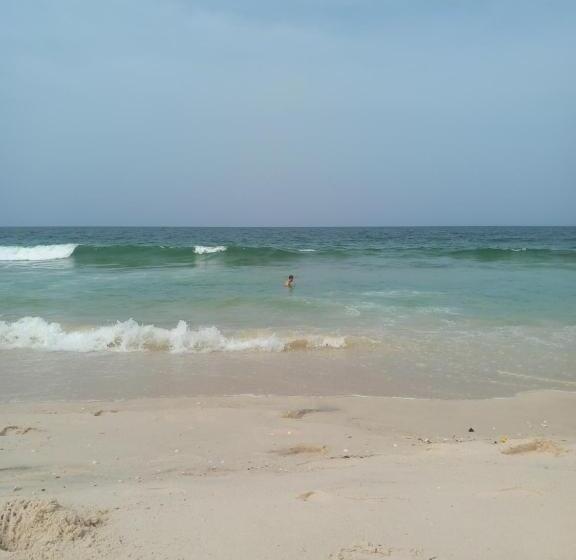 پانسیون Transit