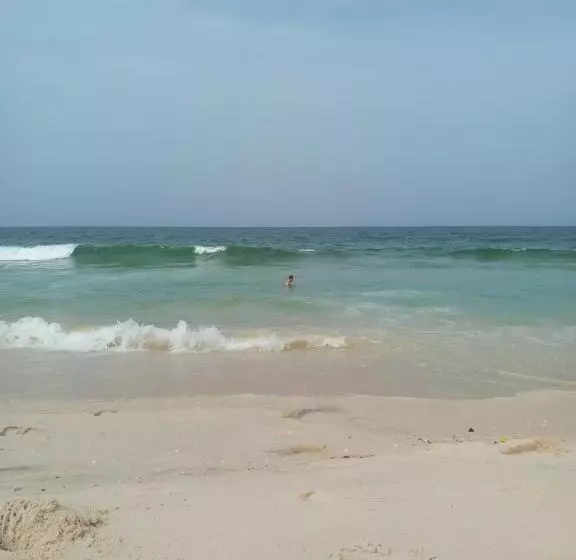 پانسیون Transit