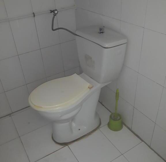 پانسیون Transit