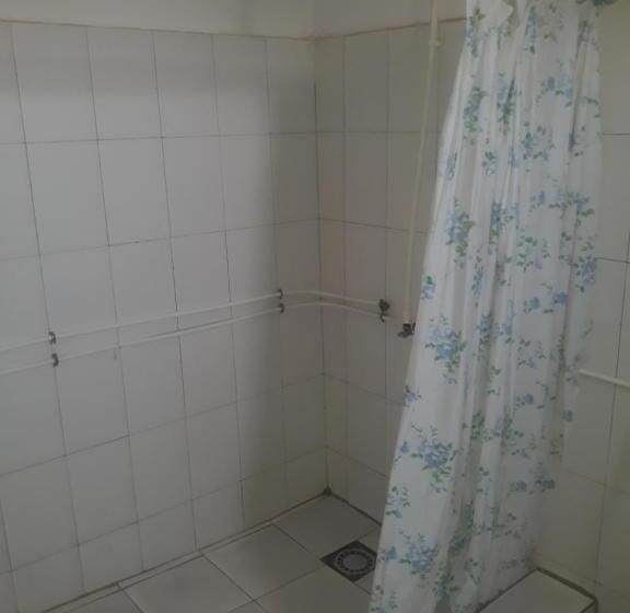 پانسیون Transit