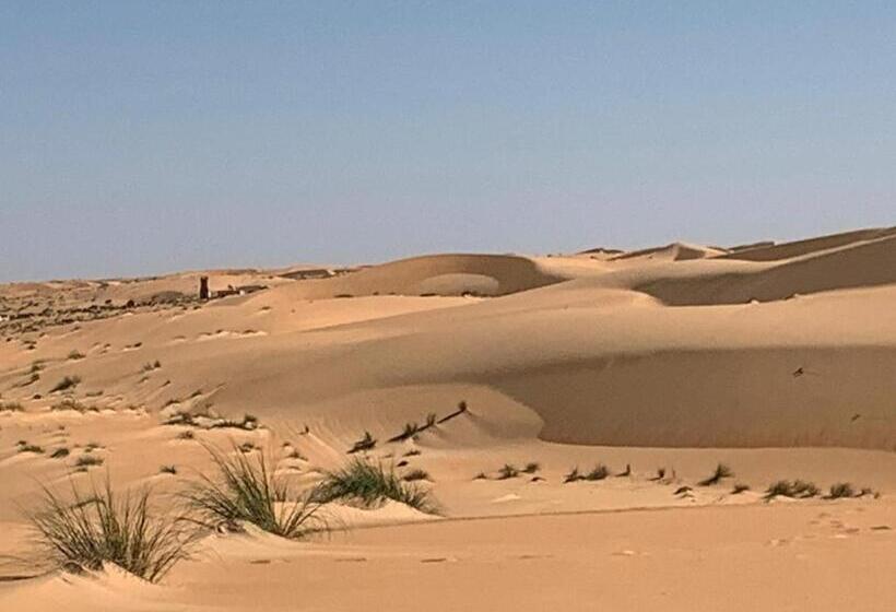 پانسیون Transit